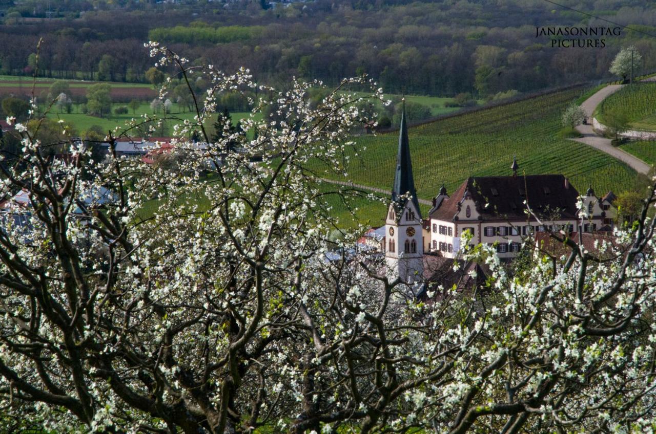 Apartment Schneeburg Ebringen Exteriör bild